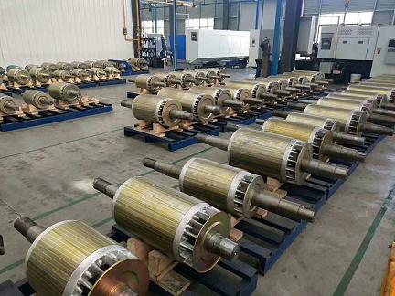 電機(jī)轉(zhuǎn)子